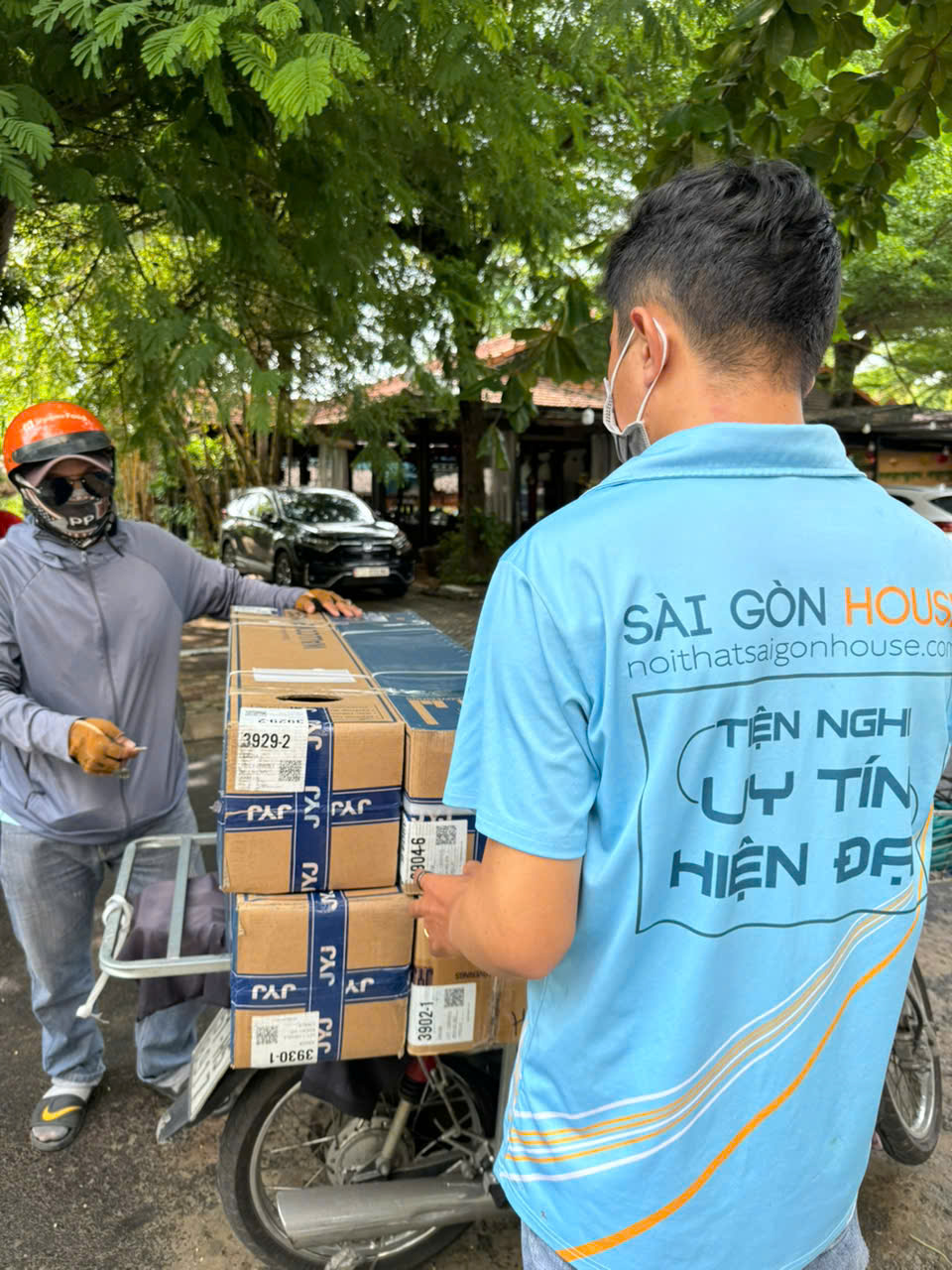 Cung cấp giấy dán tường chính hãng